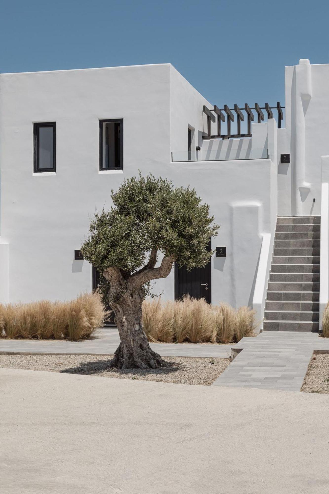 Laguna Suites In Mazera Mykonos Mykonos Town エクステリア 写真